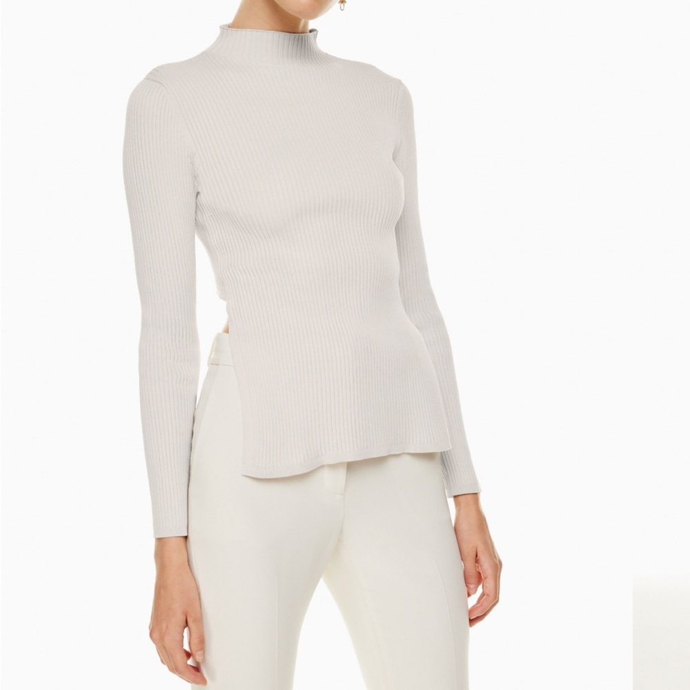 Babaton Sculpt Knit Top (in Brown)